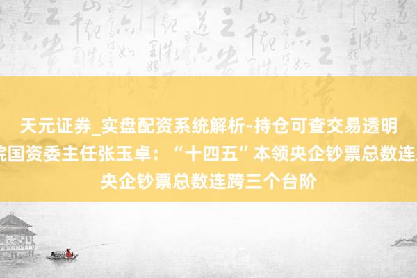 天元证券_实盘配资系统解析-持仓可查交易透明可靠 国务院国资委主任张玉卓：“十四五”本领央企钞票总数连跨三个台阶