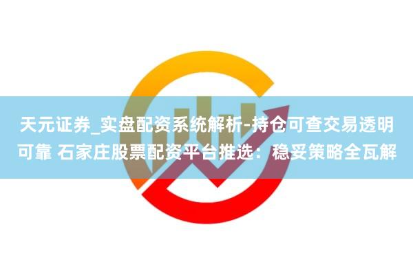天元证券_实盘配资系统解析-持仓可查交易透明可靠 石家庄股票配资平台推选：稳妥策略全瓦解