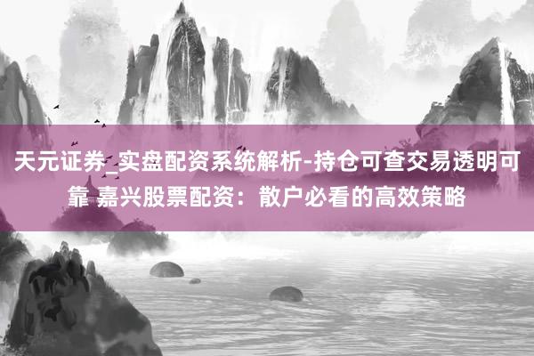 天元证券_实盘配资系统解析-持仓可查交易透明可靠 嘉兴股票配资：散户必看的高效策略