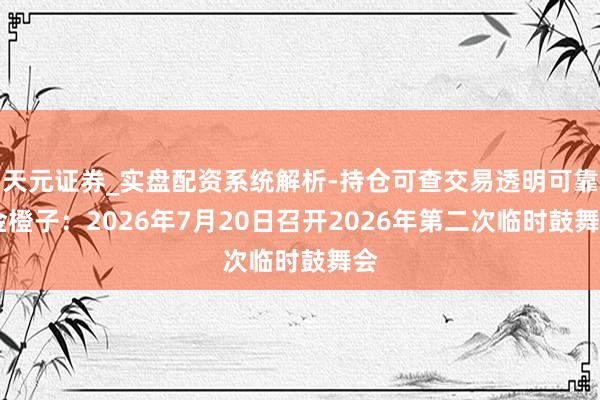 天元证券_实盘配资系统解析-持仓可查交易透明可靠 金橙子：2026年7月20日召开2026年第二次临时鼓舞会