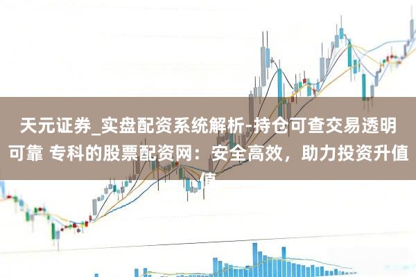 天元证券_实盘配资系统解析-持仓可查交易透明可靠 专科的股票配资网：安全高效，助力投资升值